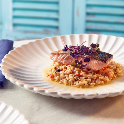 Incise Scalloped Coupe Plate