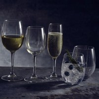 Vicrila Syrah Wine Glasses and Tumblers with drinks