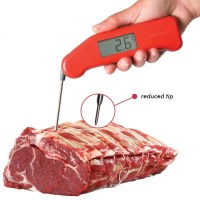 thermapen2