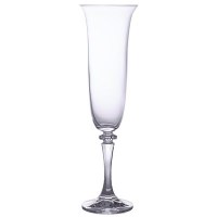 Branta Champagne Flute Glass