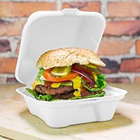 Biodegradable Burger Box