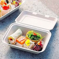 Biodegradable Bagasse Lunch Box