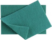 Green Nylon Scourer 