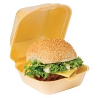HP6 Takeaway Burger Box