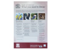 HSE A3 POSTER