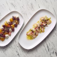 WhiteOrganicRectangularPlate