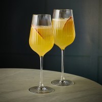 VivaceOpticWineGlass
