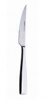 Square Premium Steak Knife